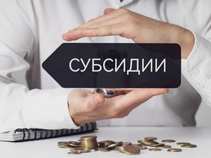 Субсидия за СВО.